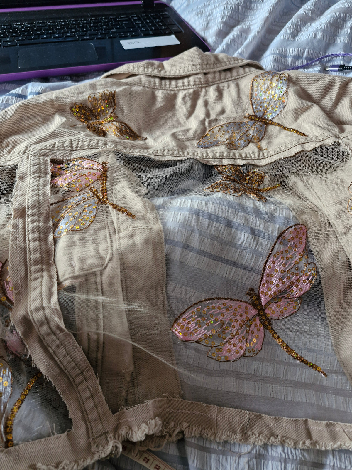 Dragonfly dreams