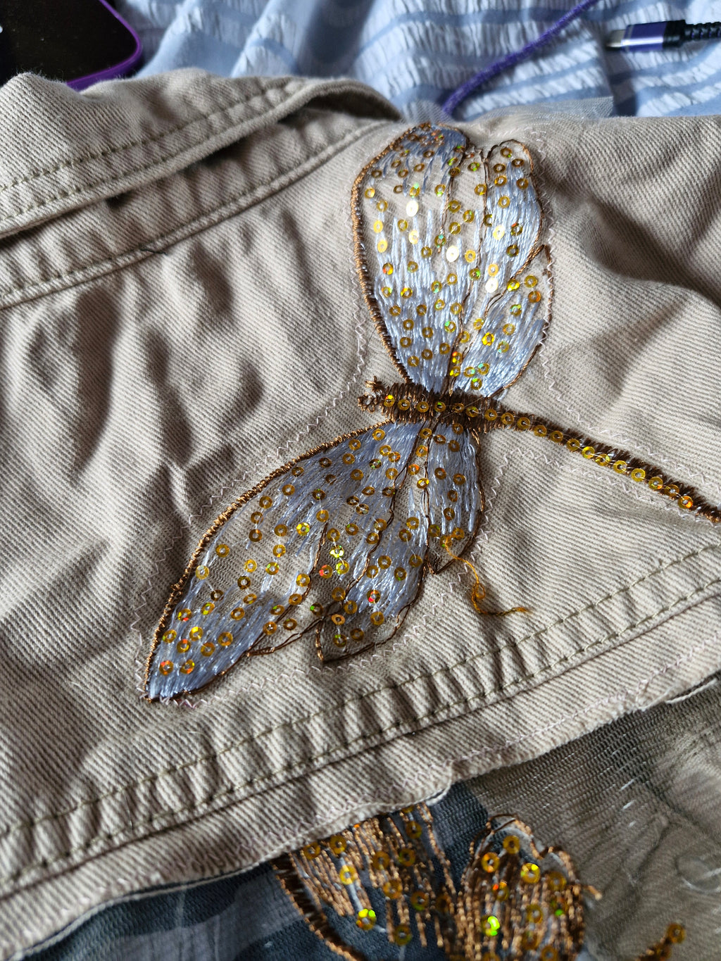 Dragonfly dreams