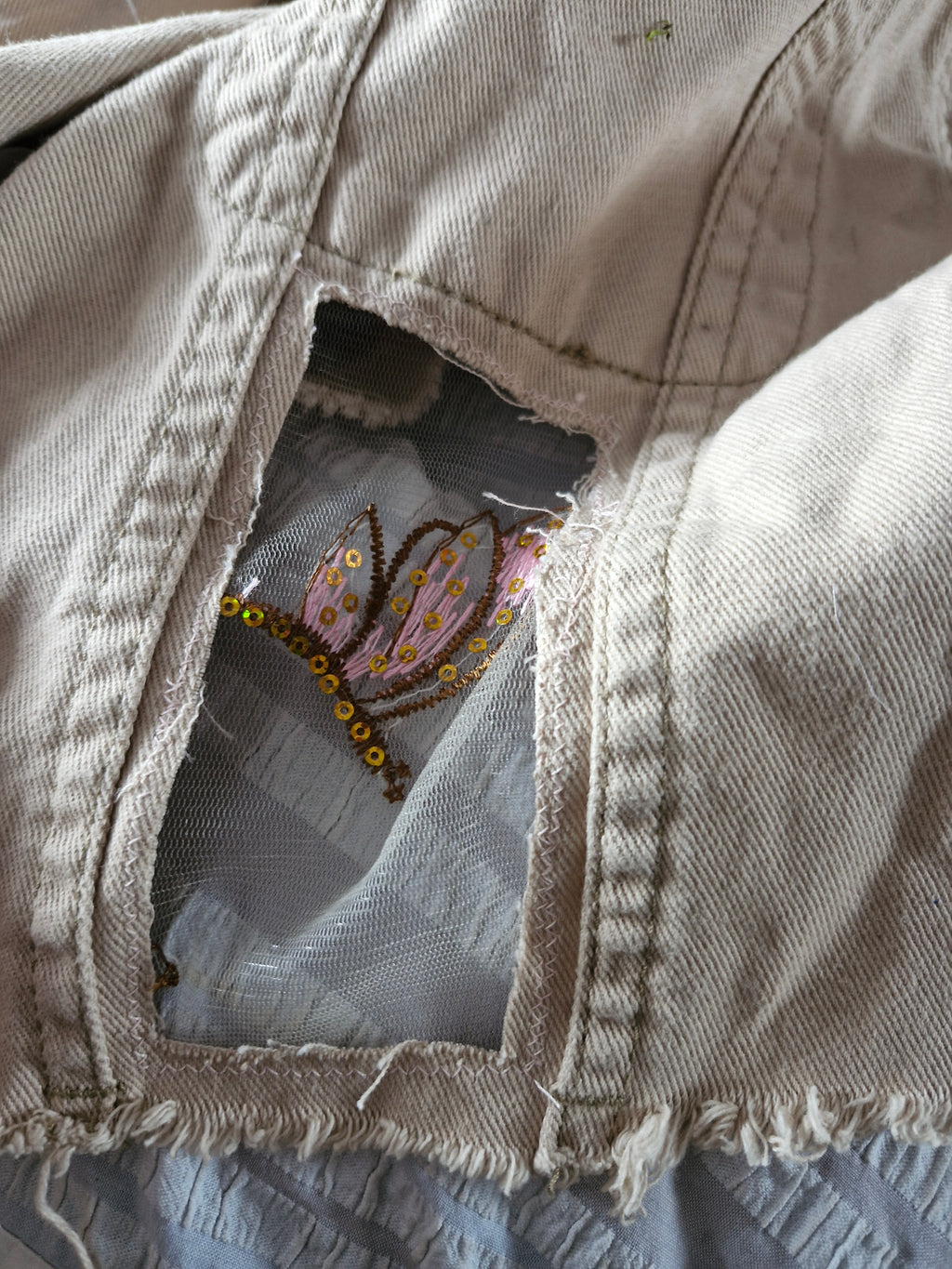 Dragonfly dreams