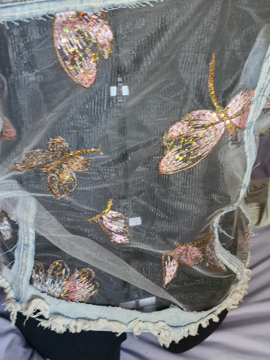 Dragonfly Dreams