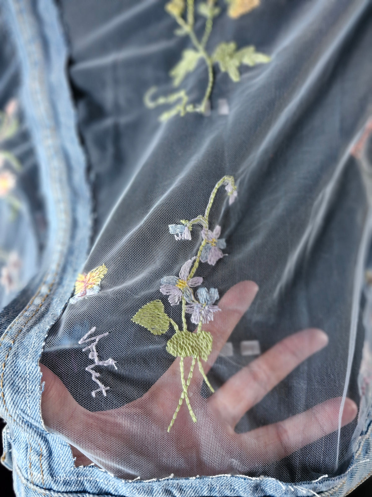 Butterfly Dreams