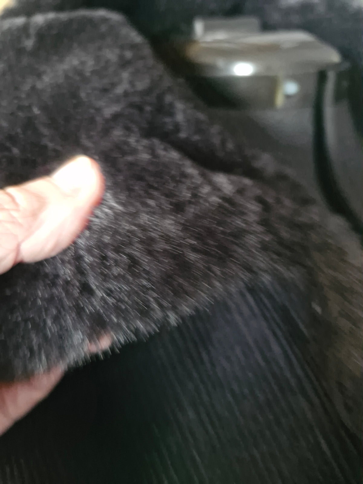 Furry Cuddles